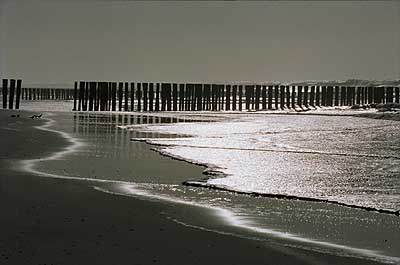 Nordsee Walcheren Domburg Zoutelande Nordsee-Walcheren-Zoutelande-0018